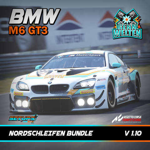 BMW M6 GT3 ACC V 1.10