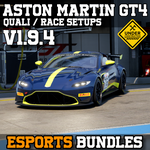 AMR V8 Vantage GT4 ACC Setup Packs