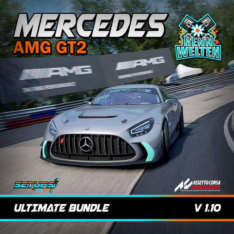Mercedes AMG GT2 ACC V 1.10