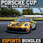 Porsche 992 GT3 Cup Setup Pack