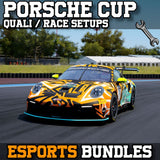 Porsche 992 GT3 Cup Setup Pack