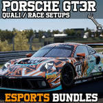 Porsche 991 II R GT3 Setup Packs